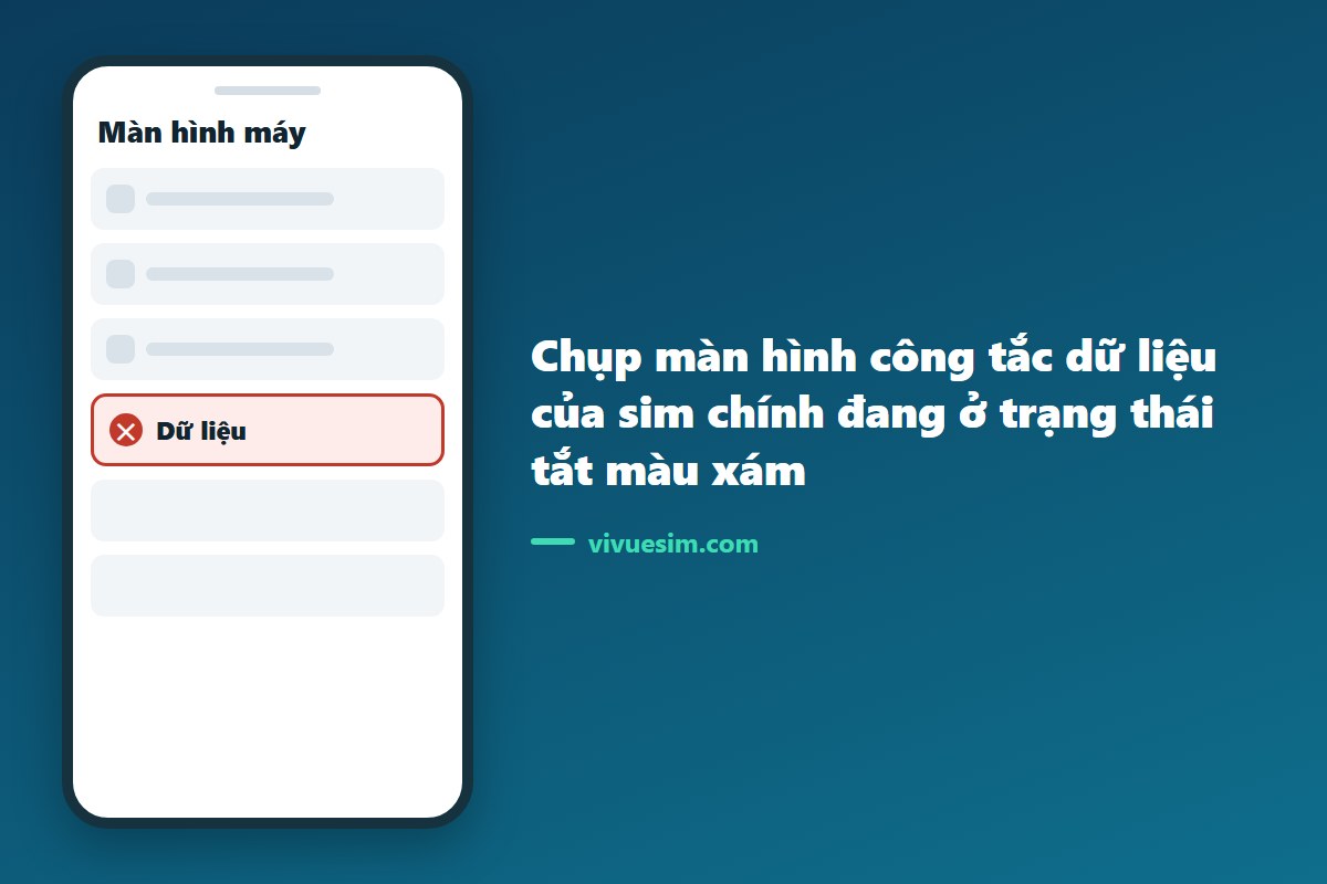 chụp màn hình công tắc dữ liệu của sim chính đang ở trạng thái tắt màu xám